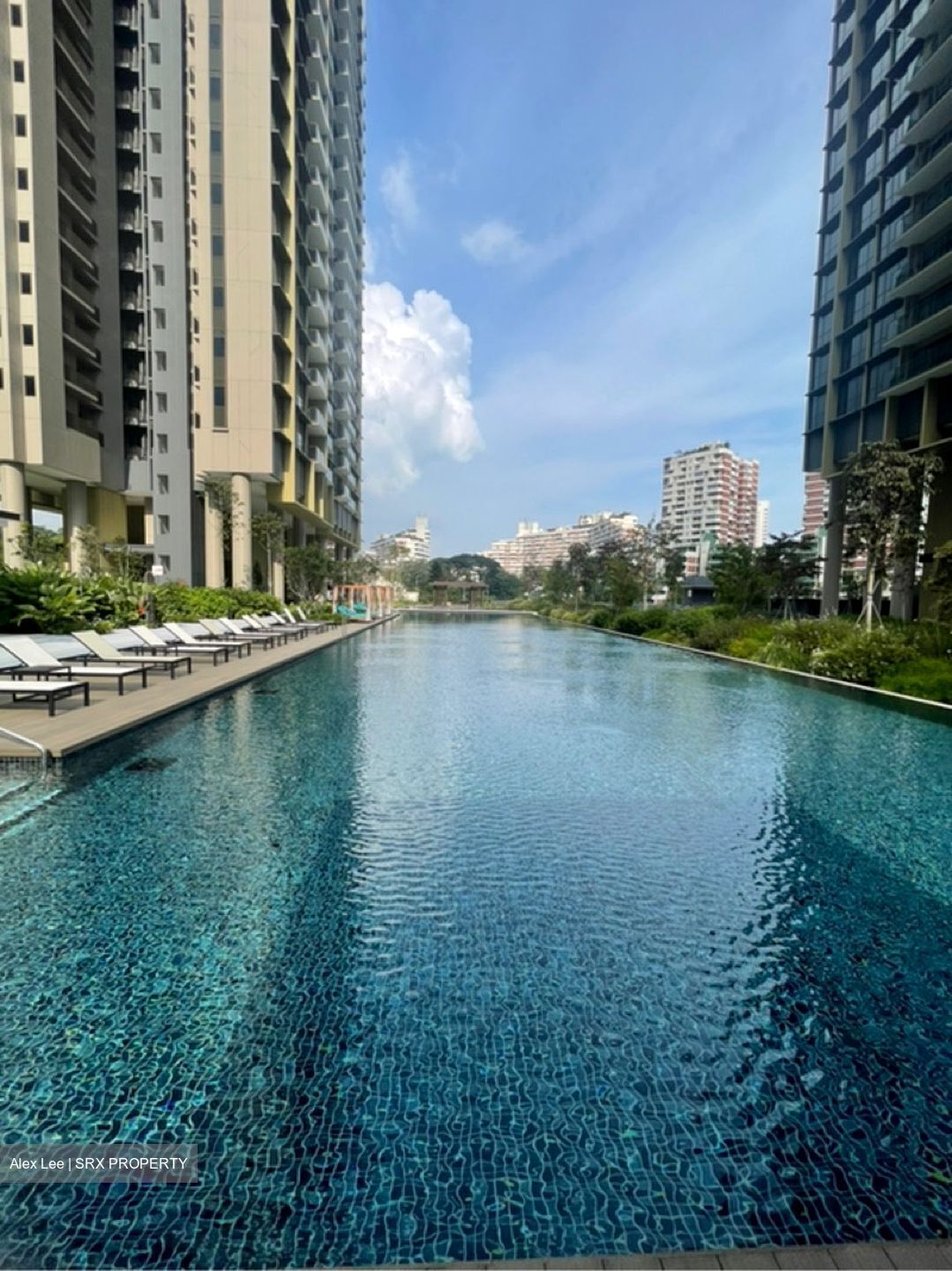 Pinetree Hill (D21), Condominium #636850341